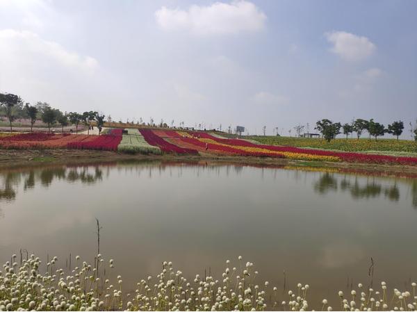 QQ截图20191003173033.jpg