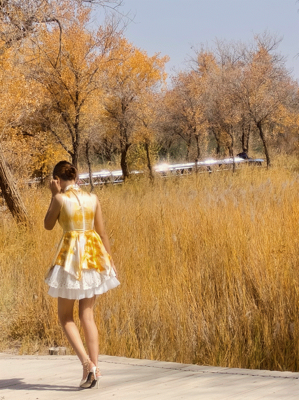 image008.gif