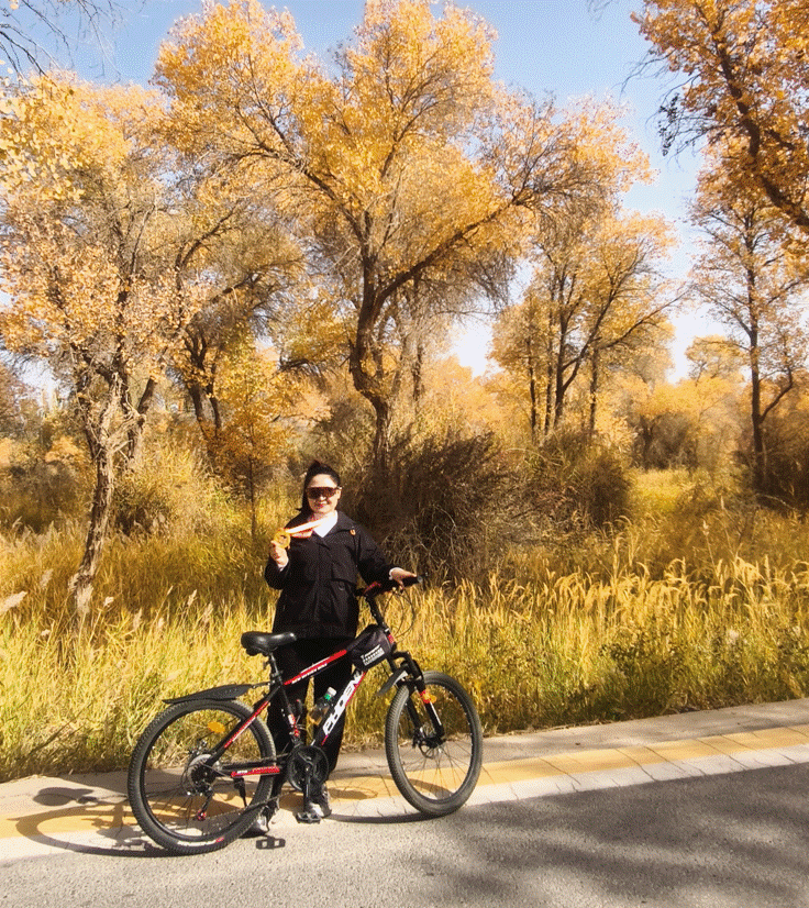 image012.gif