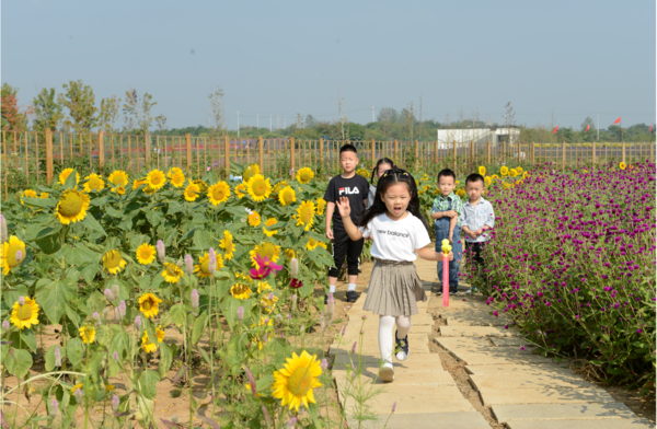 微信截图_20191005132430.png